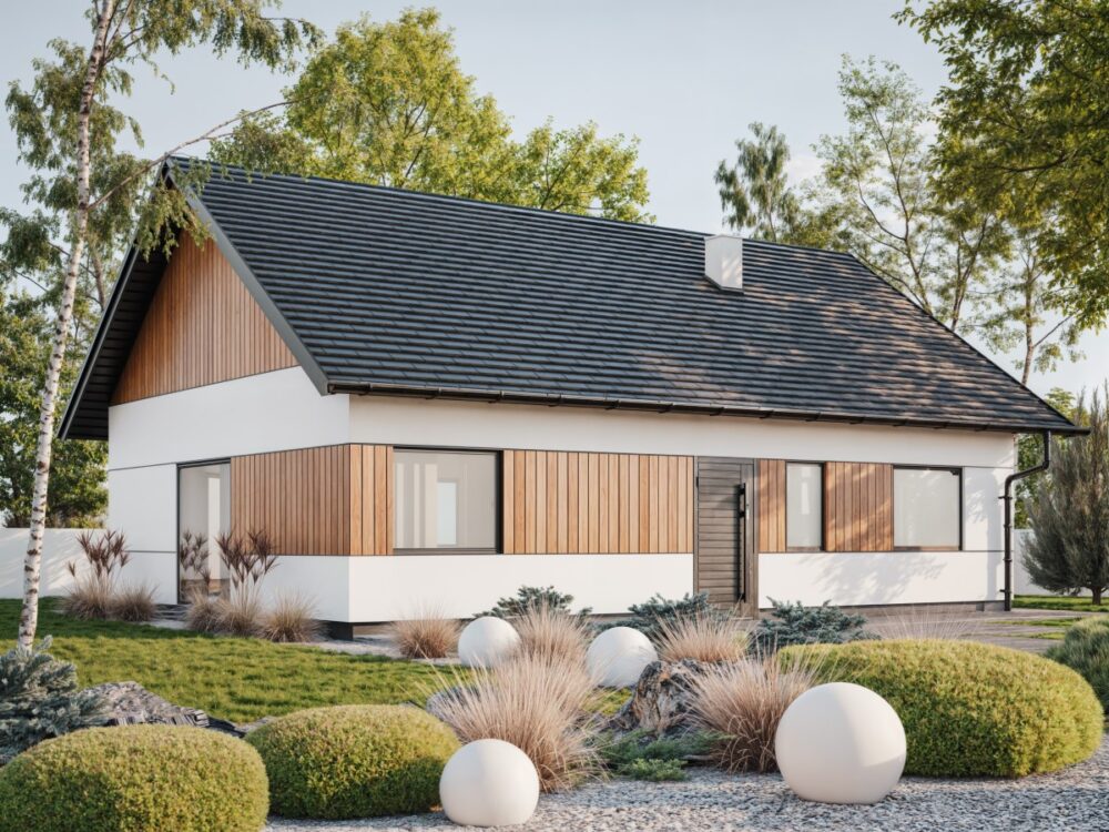 dom parterowy 100m2 wizualizacja projektu